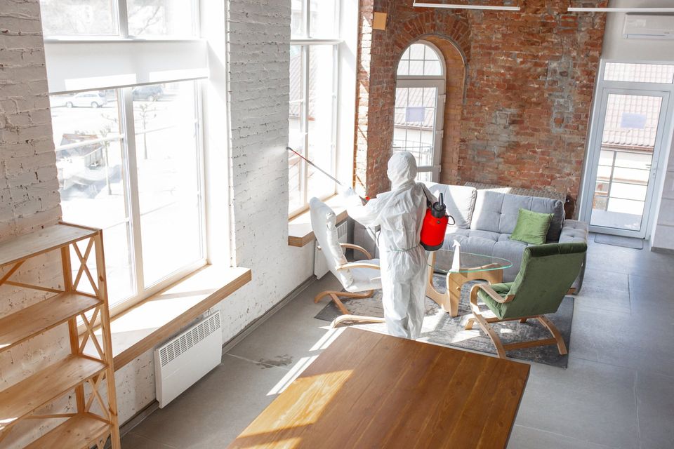 our guide to mold spread in your house