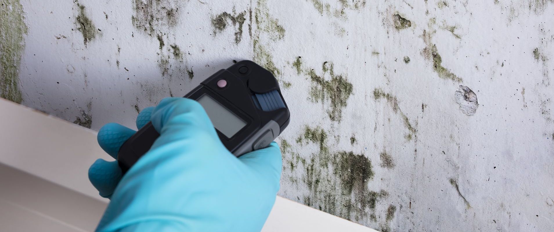 testing your house for mold exposure