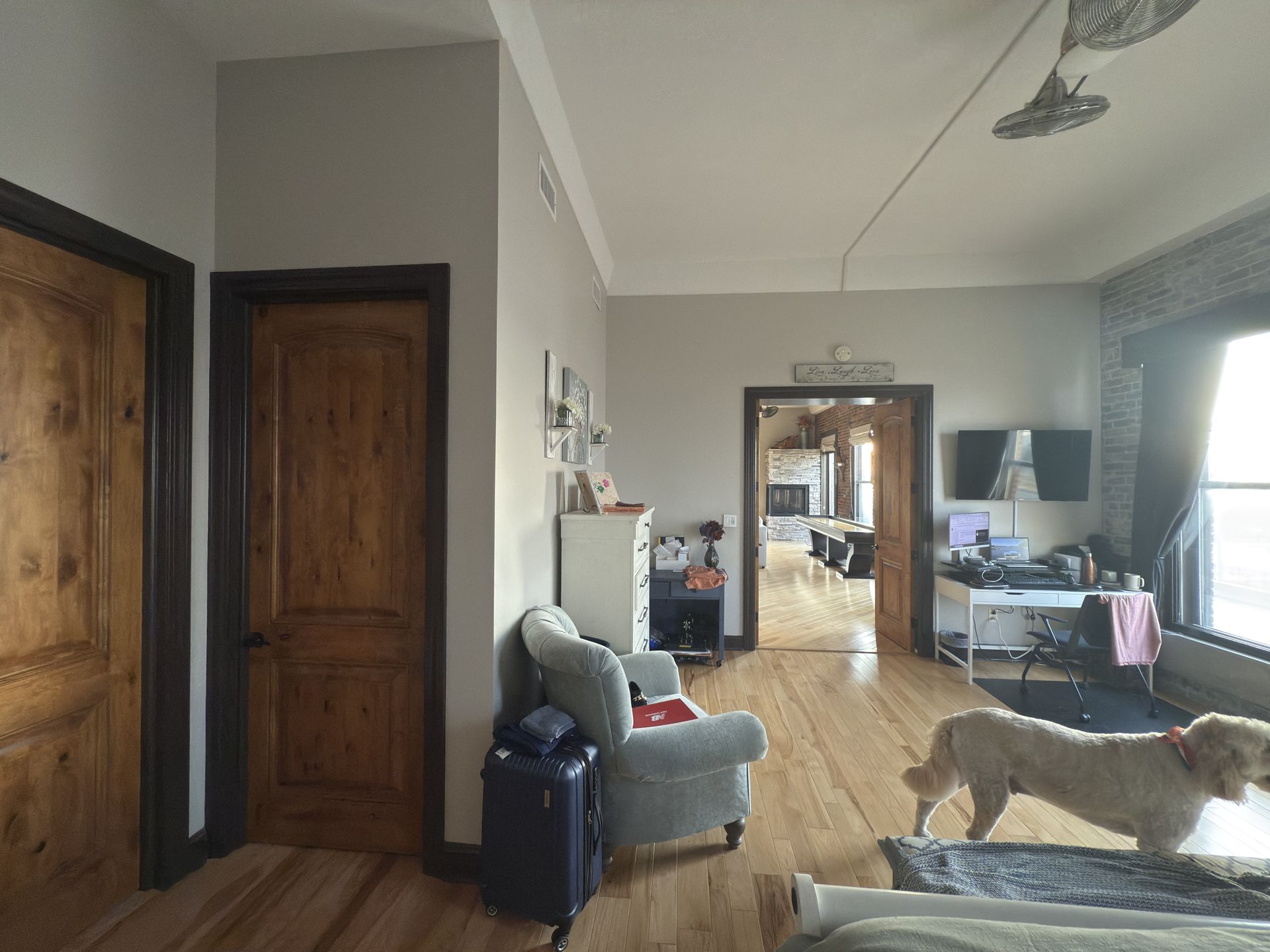 A light-filled room with wooden doors, wood floors, and a golden retriever.