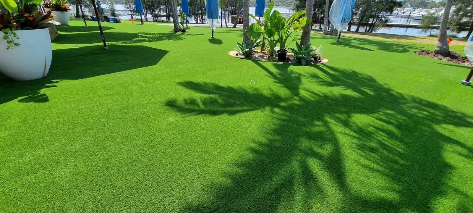 A lush green lawn with a shadow of a palm tree on it.