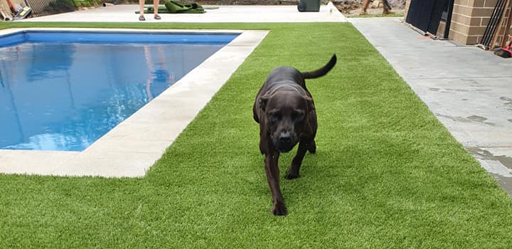 is artificial grass good for dogs