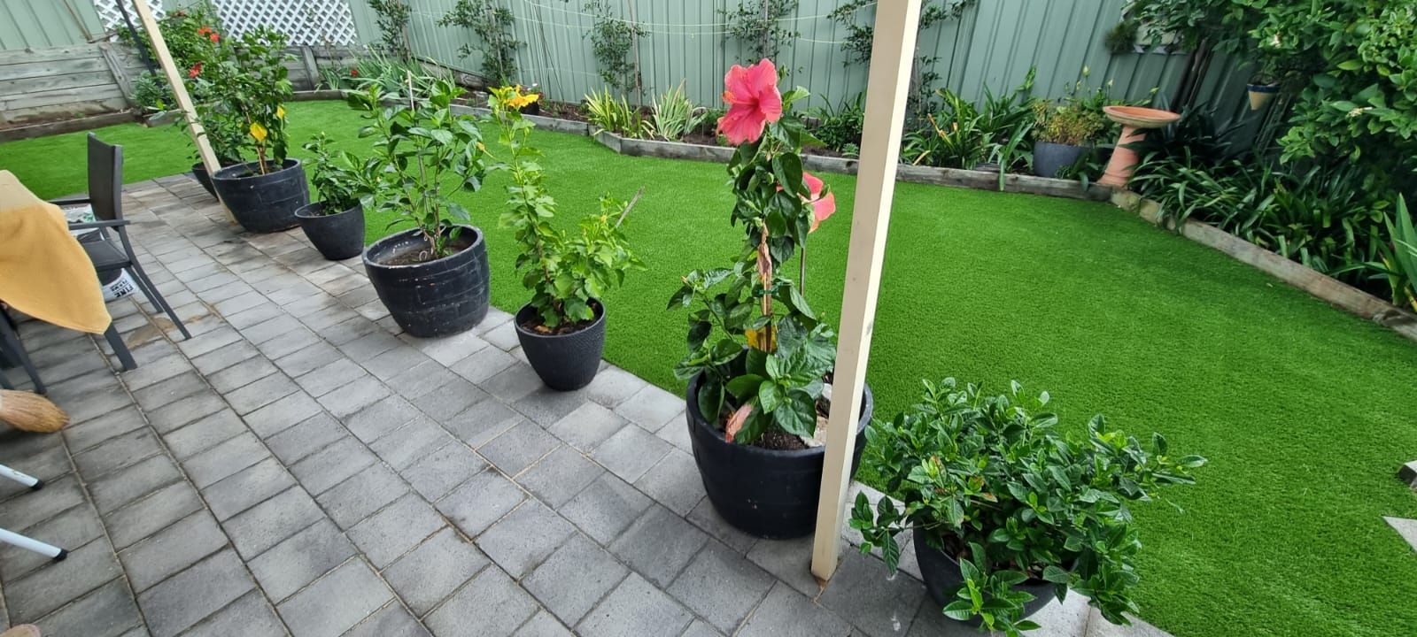 There are many potted plants in the backyard.