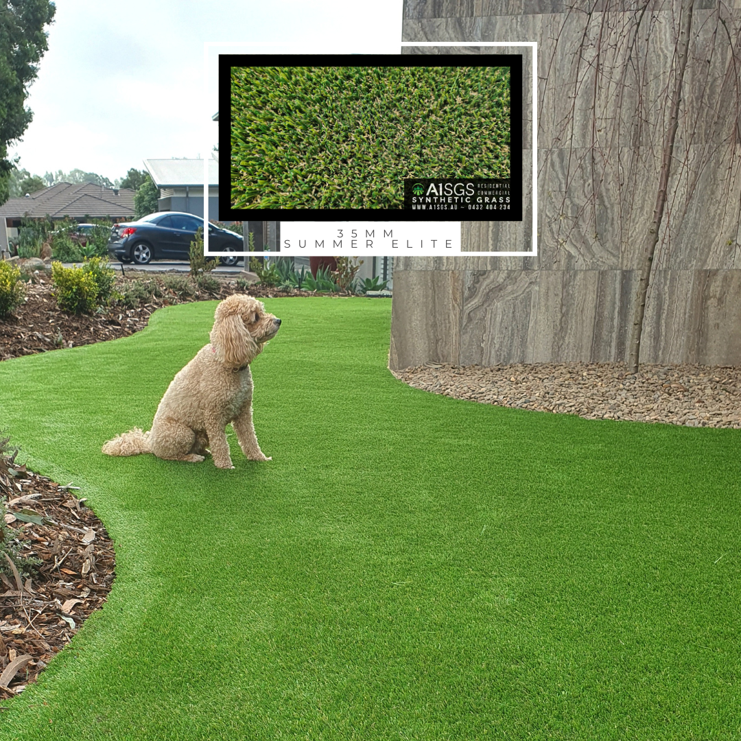 A dog is sitting on top of a lush green lawn.