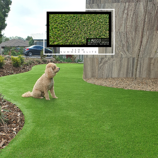 A dog is sitting on top of a lush green lawn.