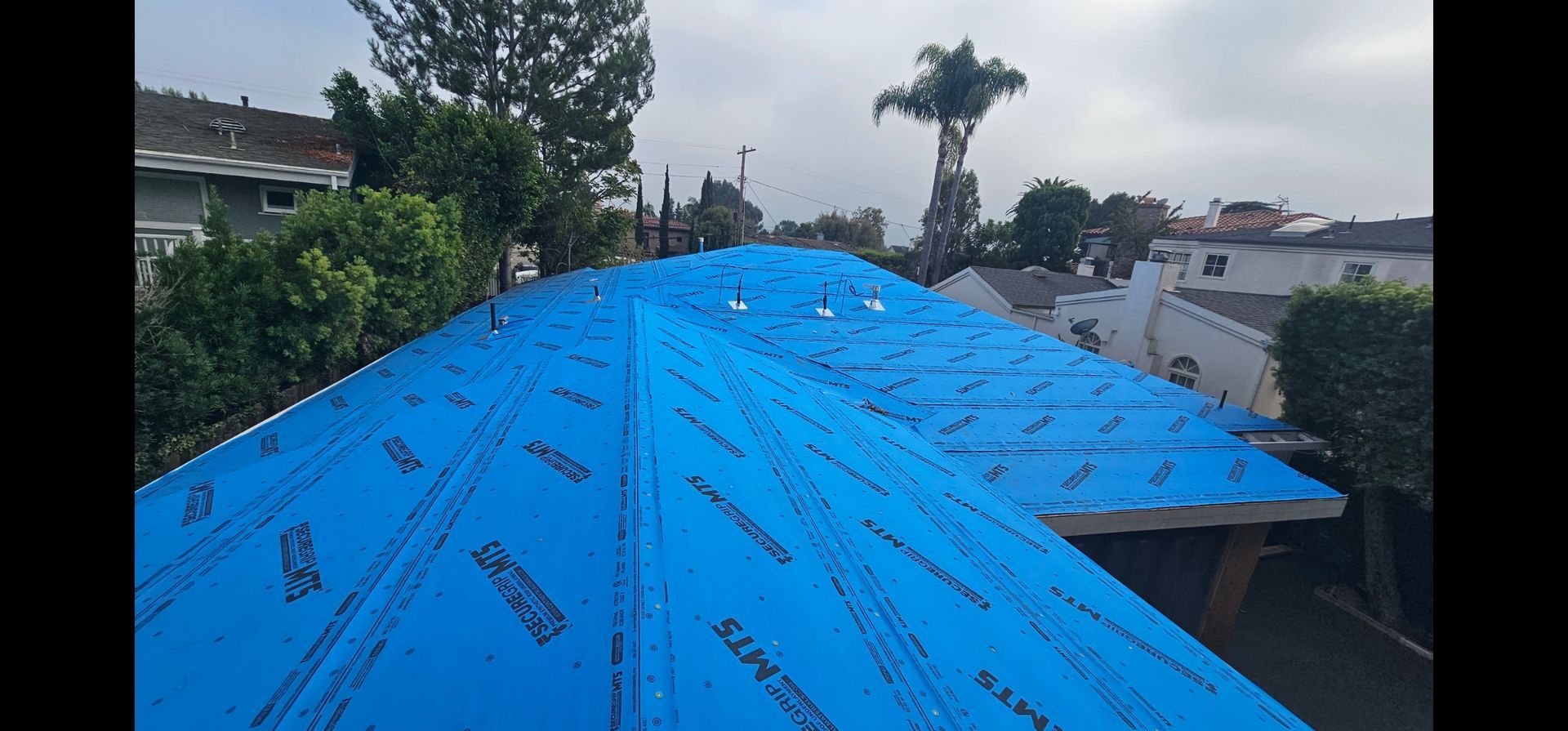 A roof covered with blue material, likely underlayment, surrounded by houses and trees on an overcast day.