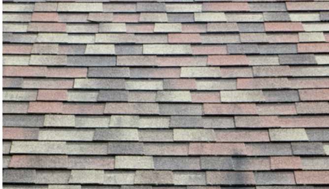 Multi-colored asphalt shingle roof.