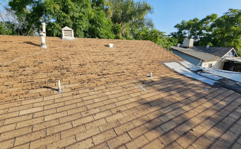 Old shingle roof with weathered brown shingles, vents, and trees in the background under bright sunlight