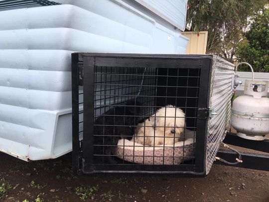 Caravan Dog Cage Upgrade — Andy’s Caravan Repairs Harristown QLD