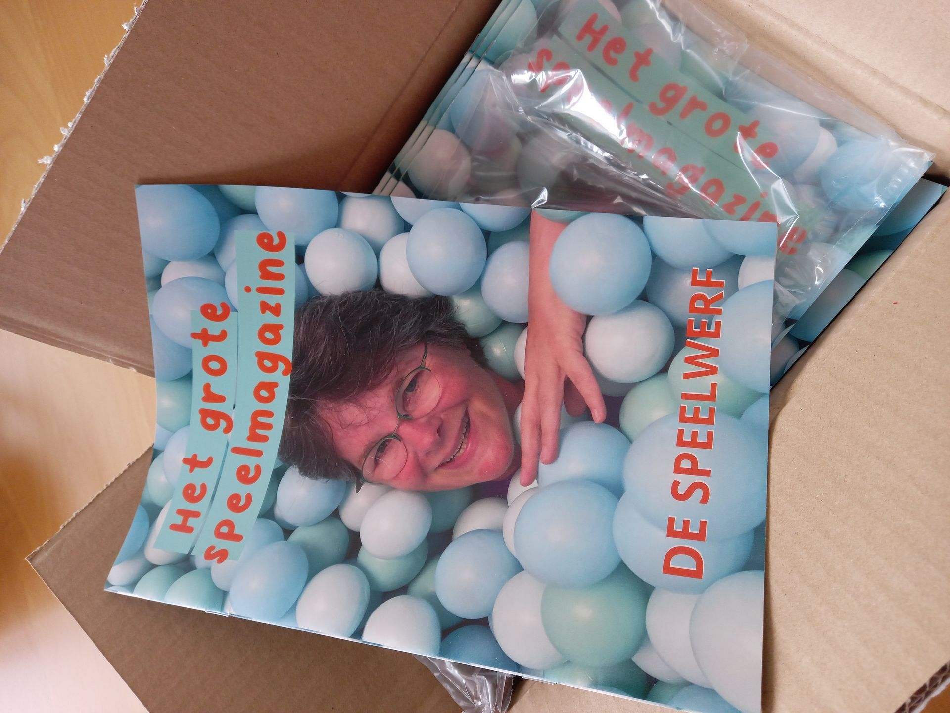 Het Grote Speelmagazine van Agnes van der Werf