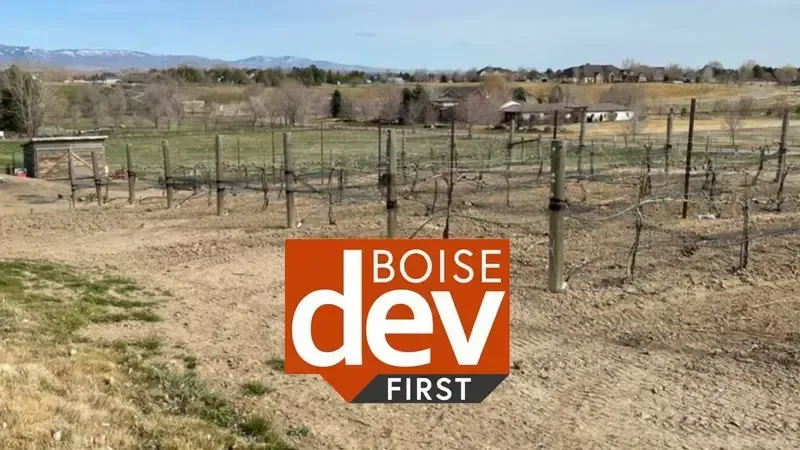 Vineyard with wooden posts, barren ground, Boise DEV FIRST logo.