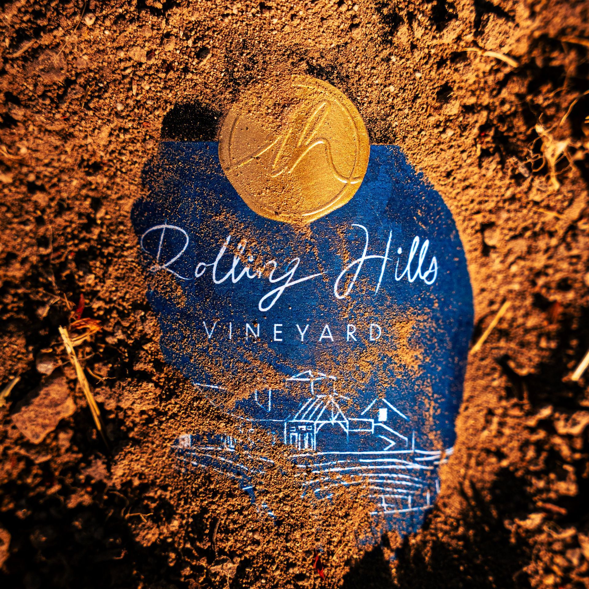 Two bingo cards with colorful markers and a glass of red wine on a wooden surface.
