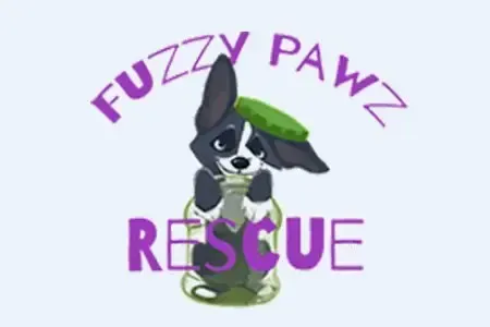 Black and white dog in a jar wearing a green hat with