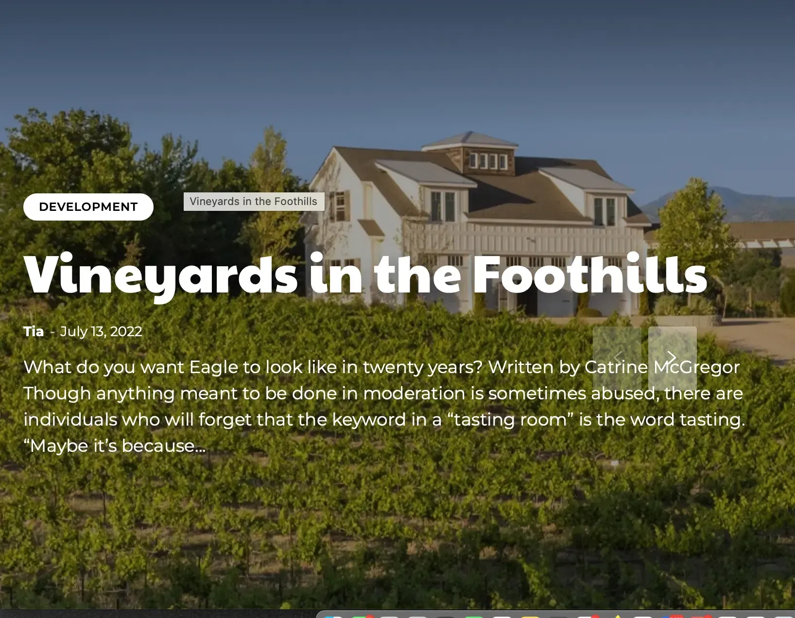 Vineyard article with a house and grapevines. Headline: Vineyards in the Foothills.