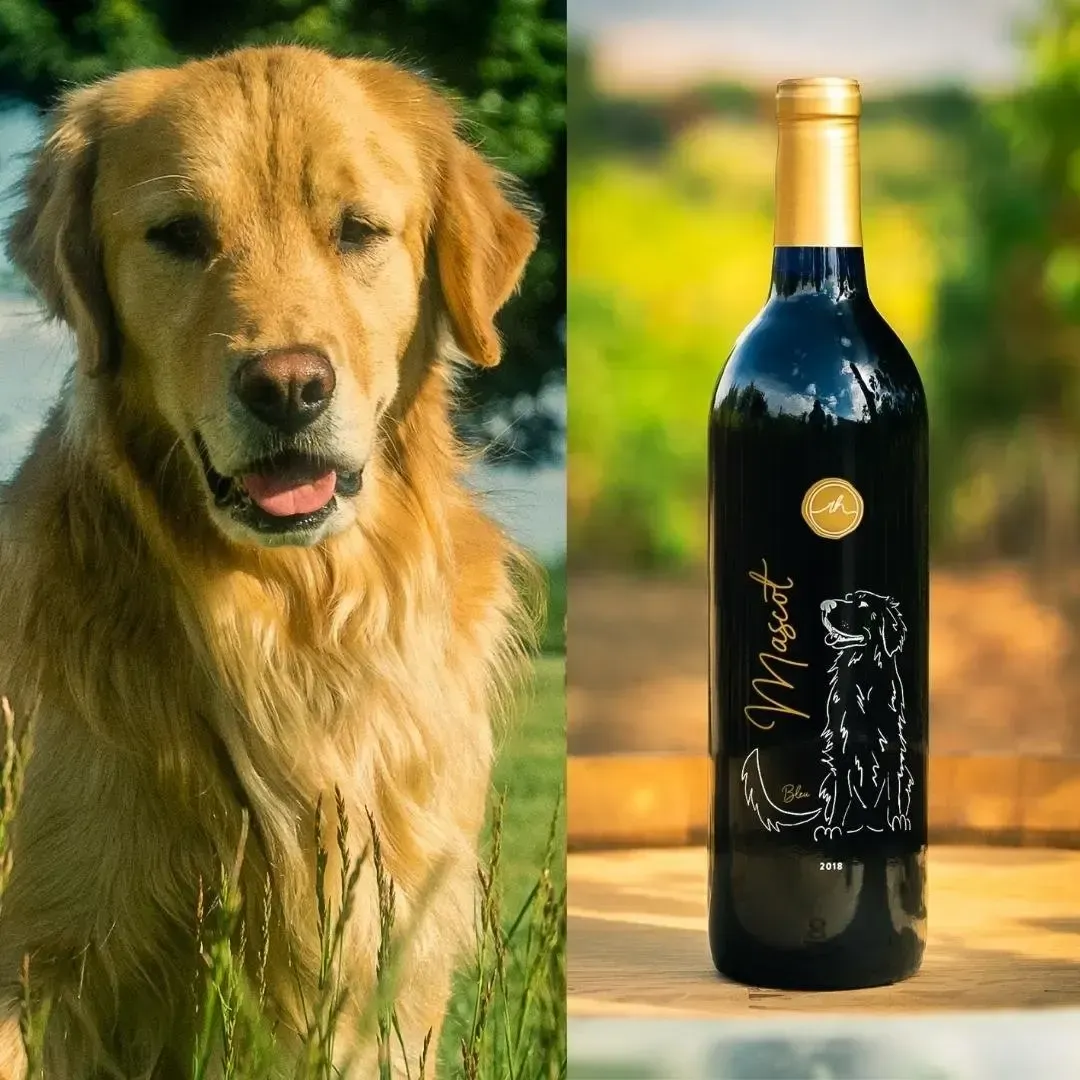 Golden retriever next to a bottle of 