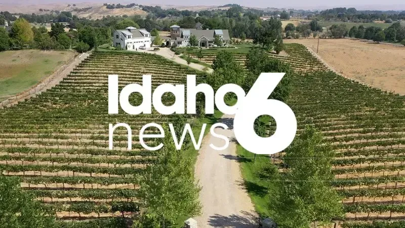 Idaho 6 News logo over a vineyard with a house in the background.