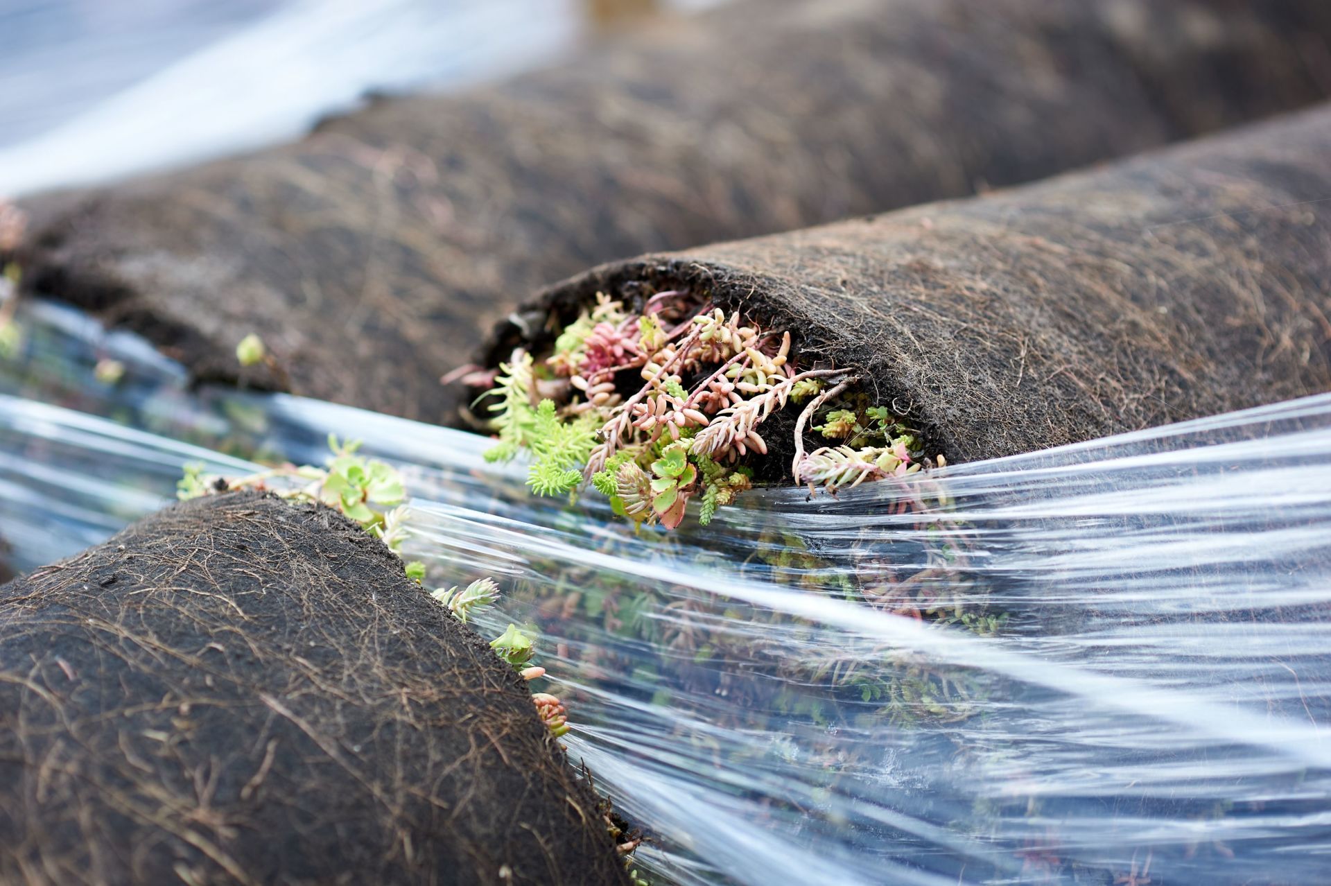 Completed project 47