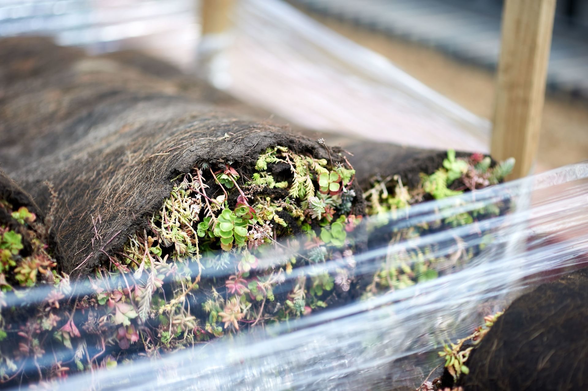 Completed project 48