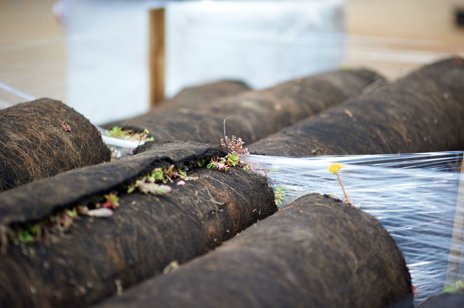 Completed project 49