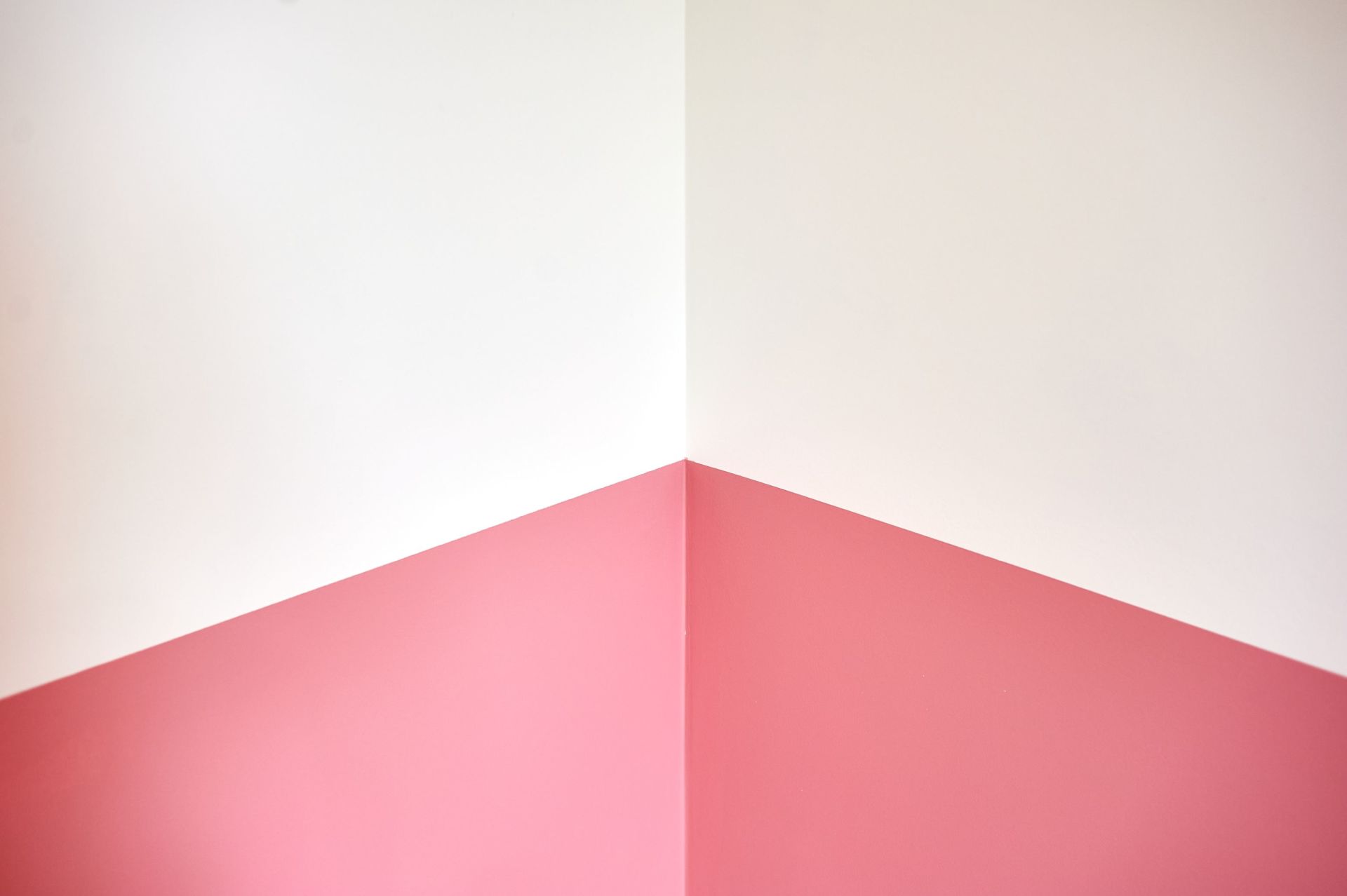 Completed project 219