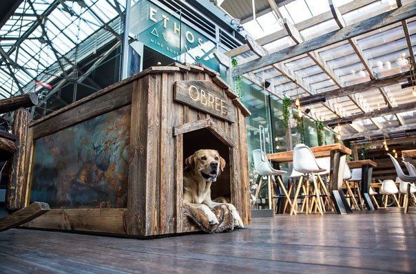 Soma House shopfront reception 1