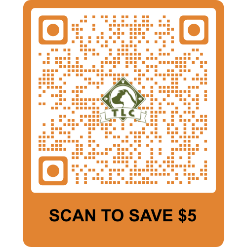 A dog and a cat are walking in a field of flowers.