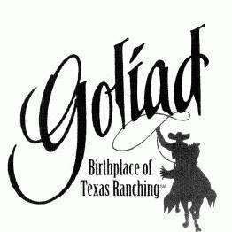 Blue school seal: St. Joseph High School in Victoria, Texas, with a cross, rays, and