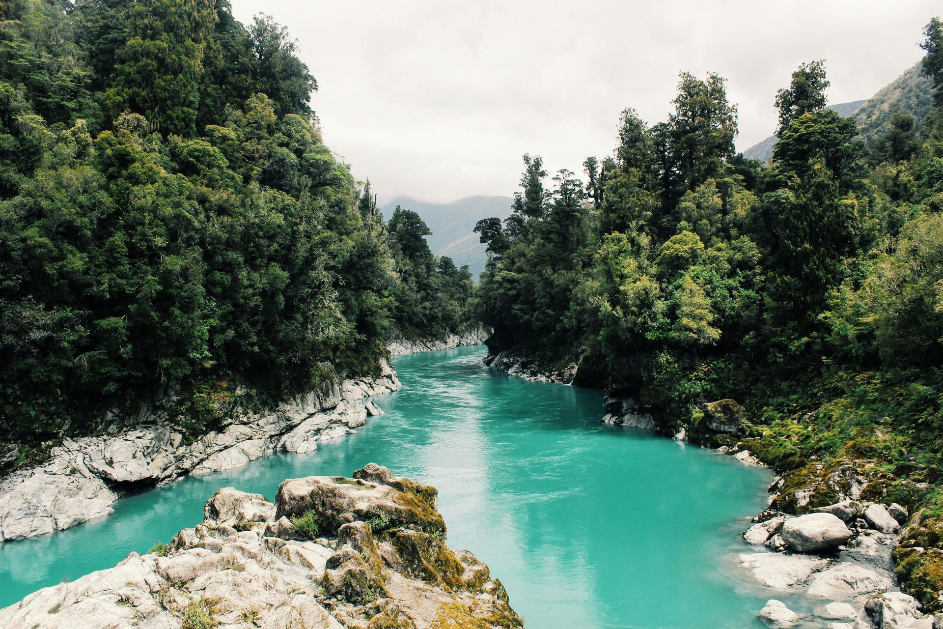 Turquoise river flows through lush green forest, under a cloudy sky.