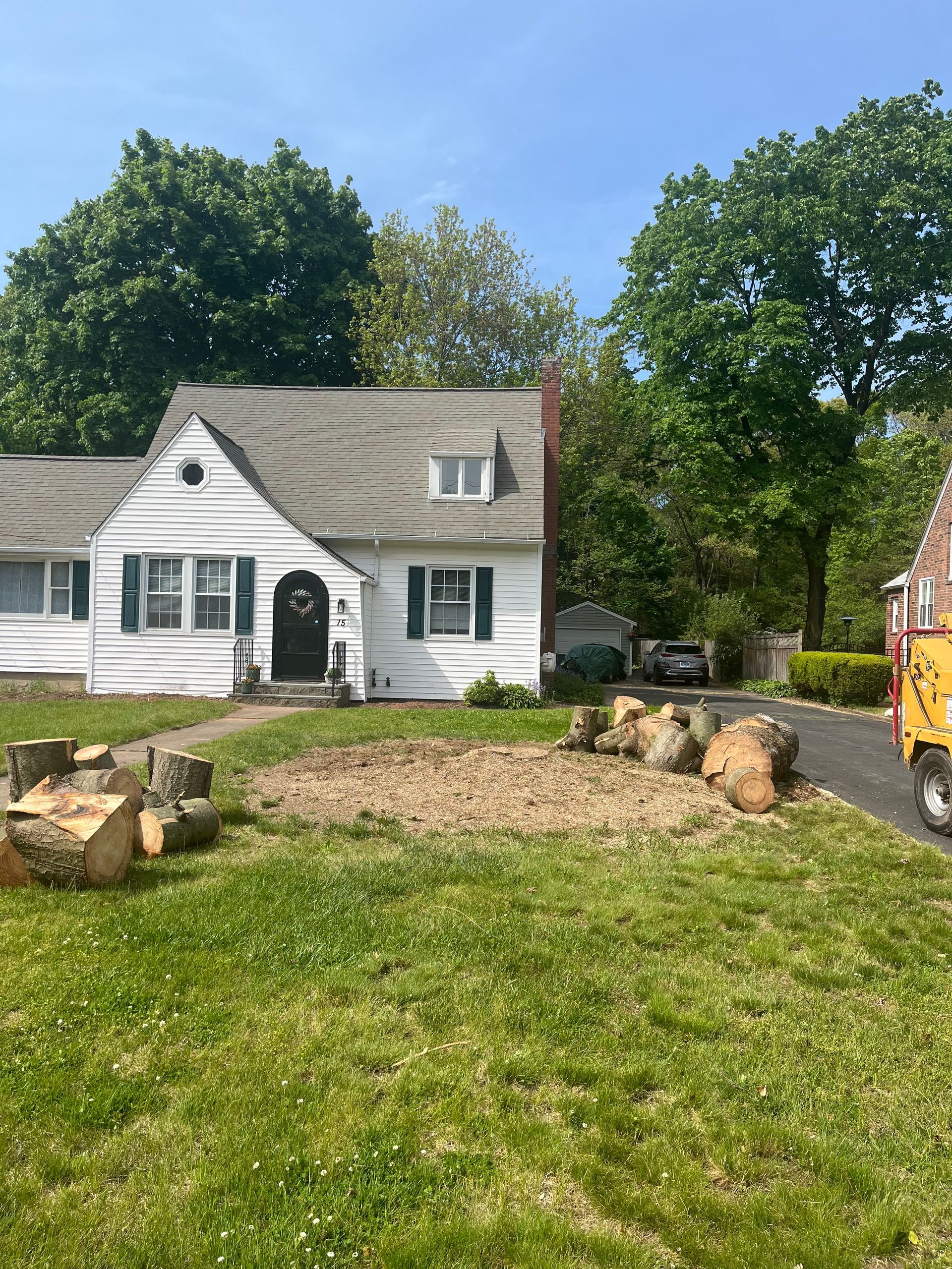 Ground tree stump with sawdust and trunk sections in residential front yard