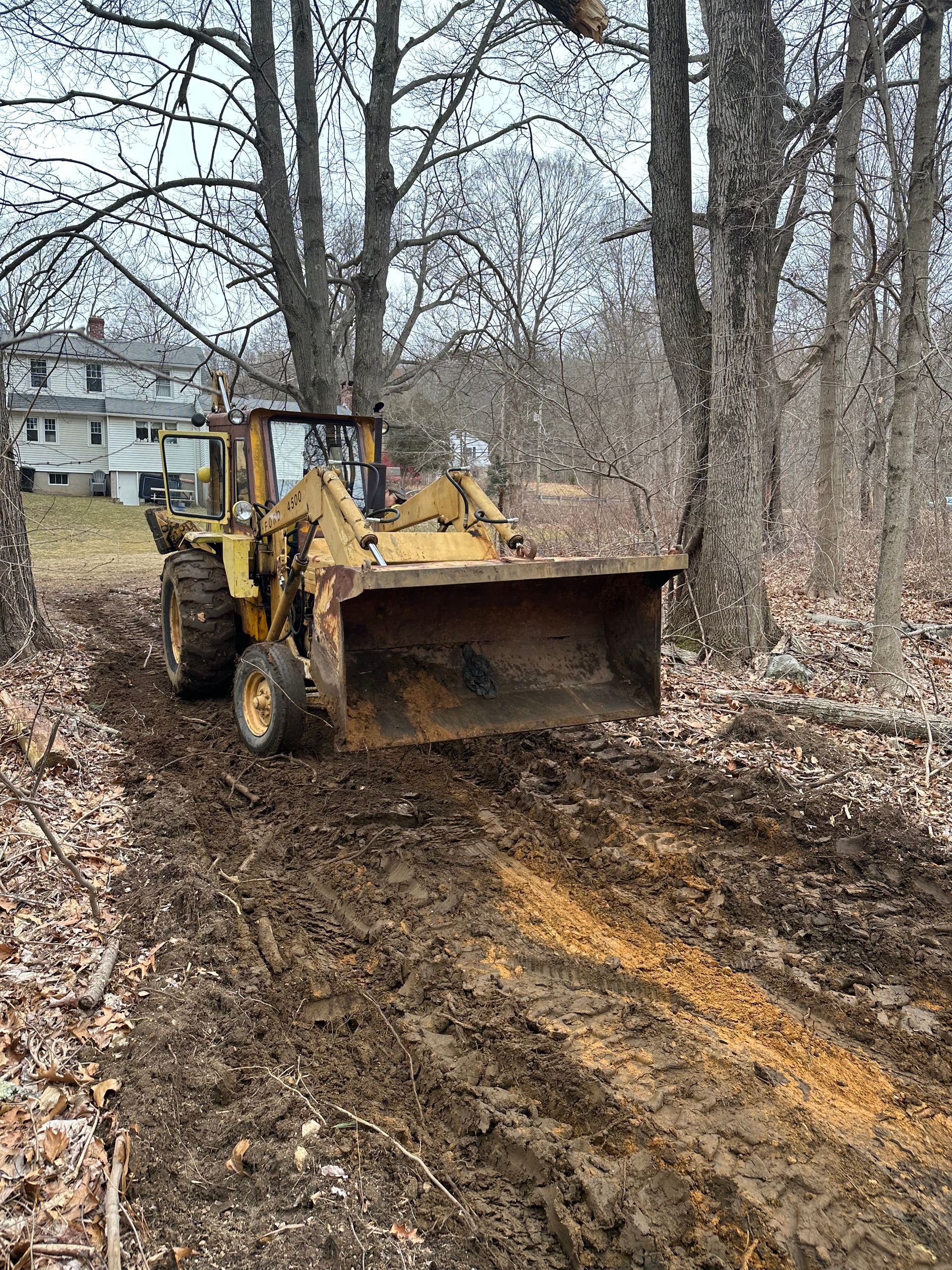 Loader clearing wooded residential lot for land preparation