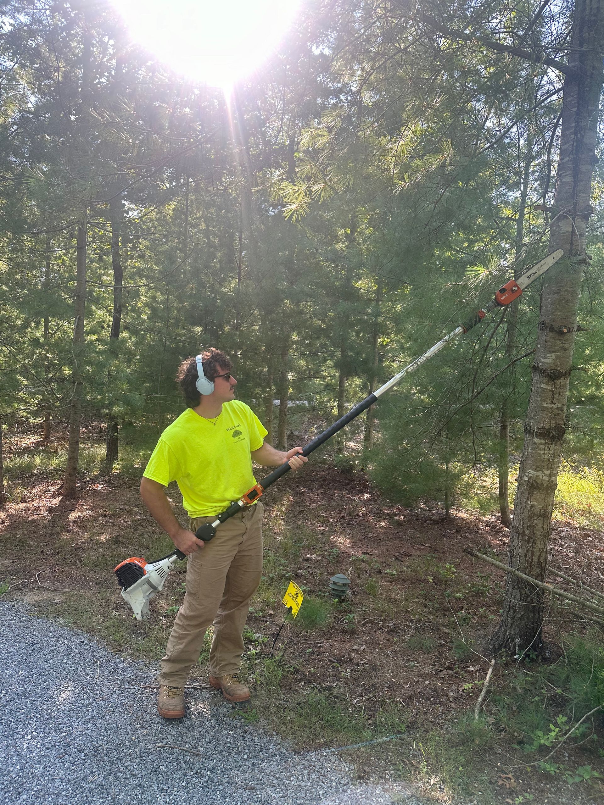 White Oak crew member in branded shirt using Stihl pole saw for tree pruning