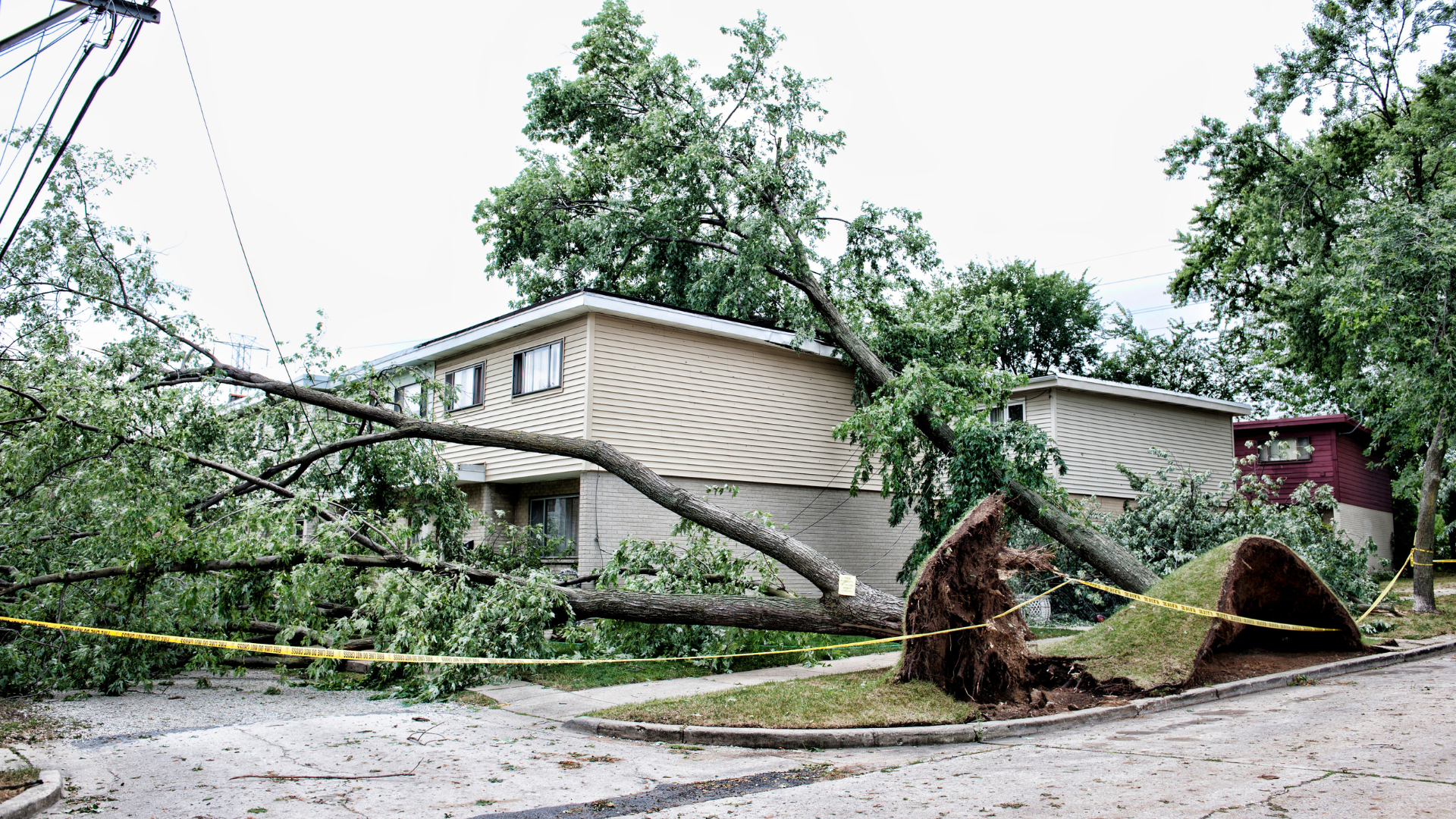 A fallen tree blocks a residential street after storm damage, with a damaged house and power lines nearby.