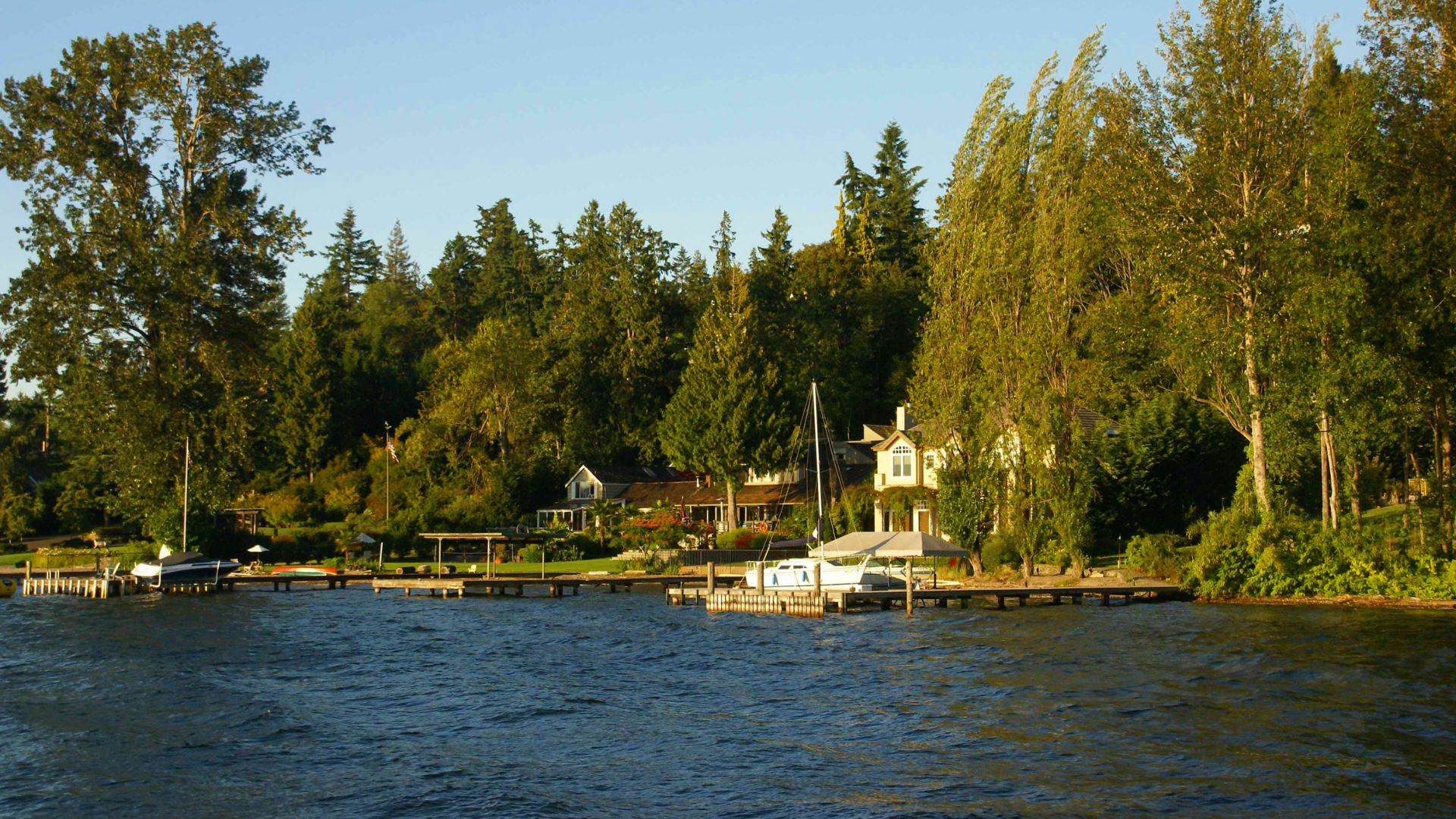 Calm lakeside with docks, boats, and houses among tall green trees in warm sunlight