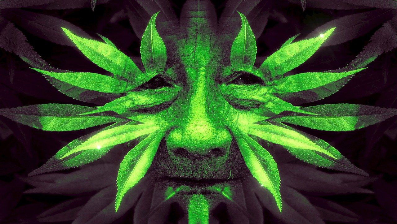 A painting of a face with green leaves on it.