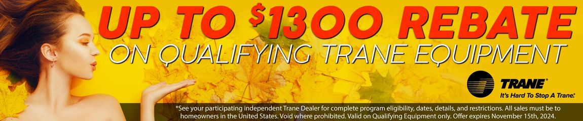 Trane Winter Promotion Banner with WInter scene