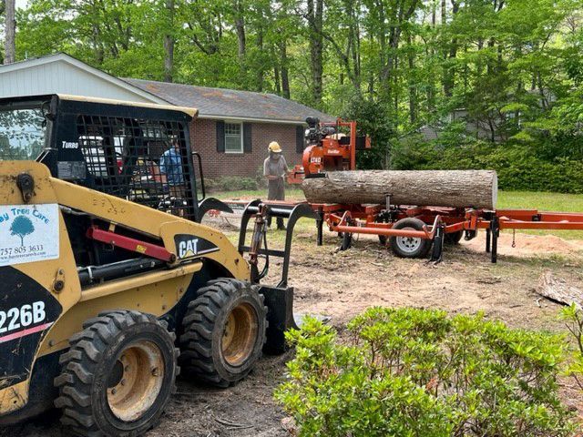 Tree Limb — Virginia Beach, VA — Bay Tree Care