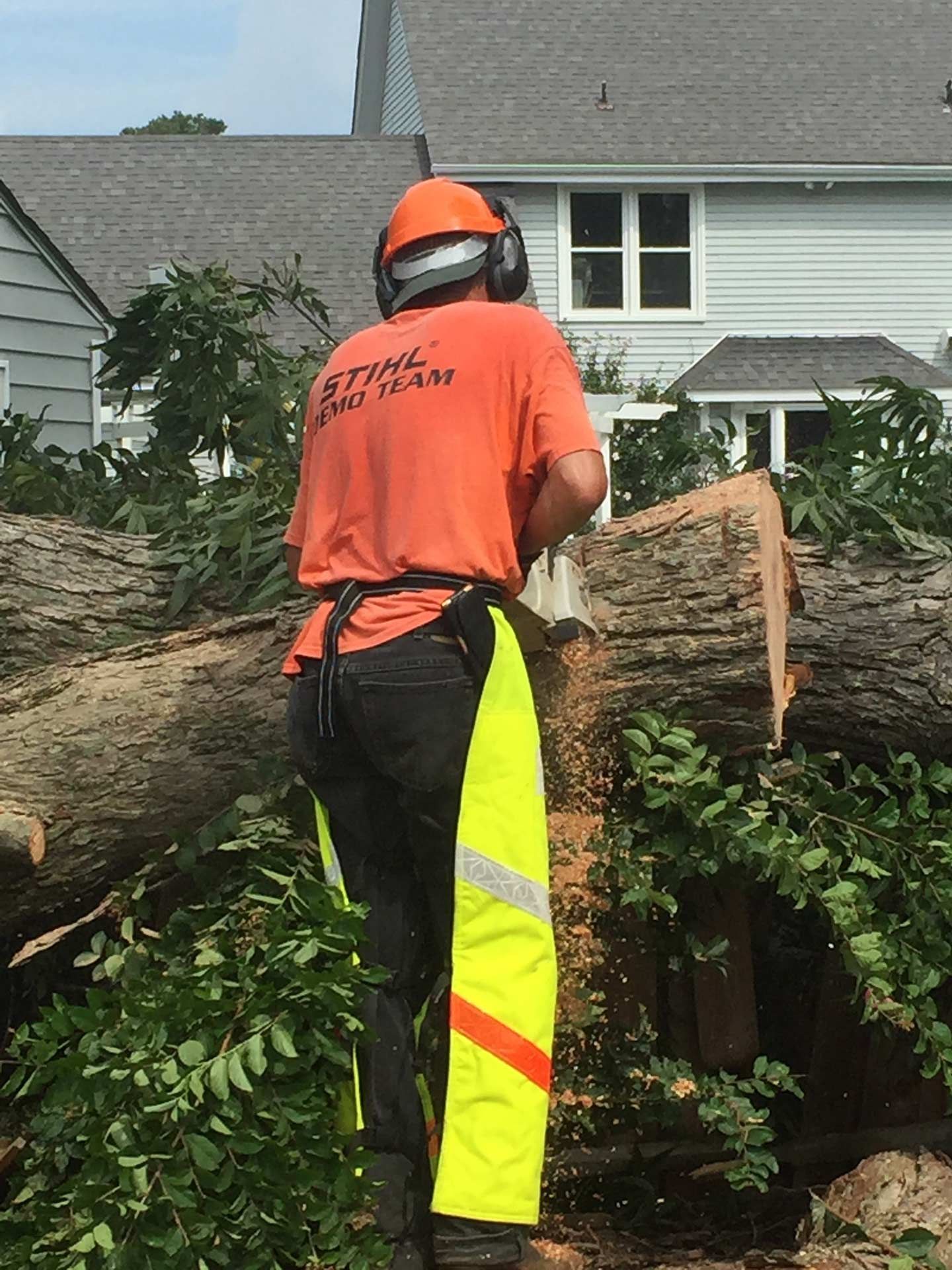 Cutting a Fallen Tree — Virginia Beach, VA — Bay Tree Care