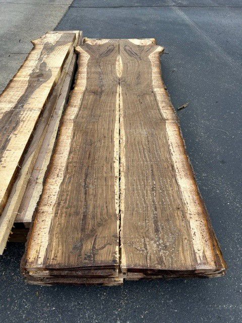 Limb of Tree on Road — Virginia Beach, VA — Bay Tree Care