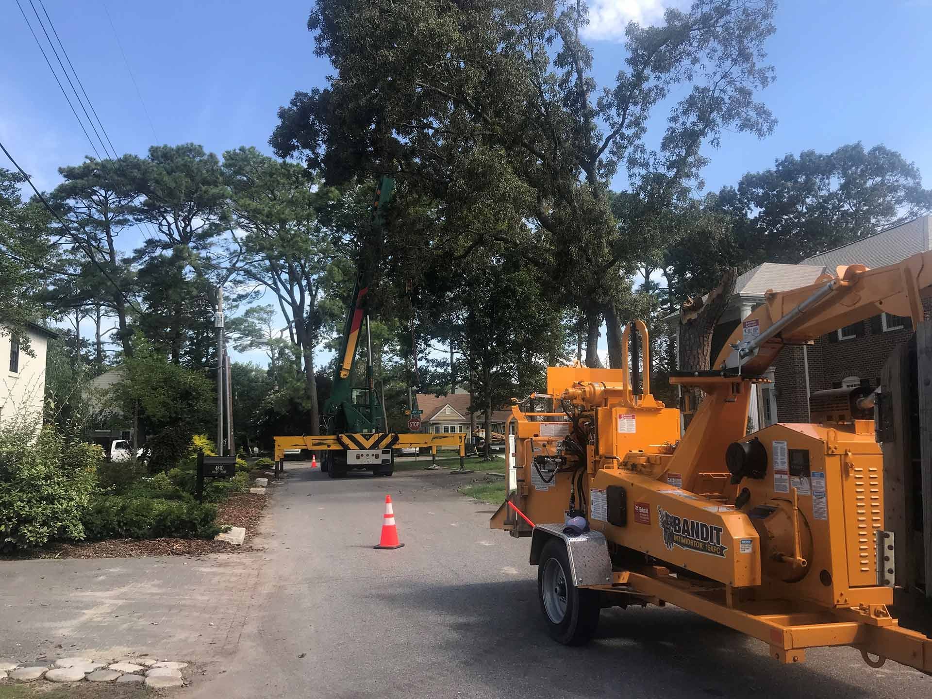 Residential Tree Trimming Service — Virginia Beach, VA — Bay Tree Care