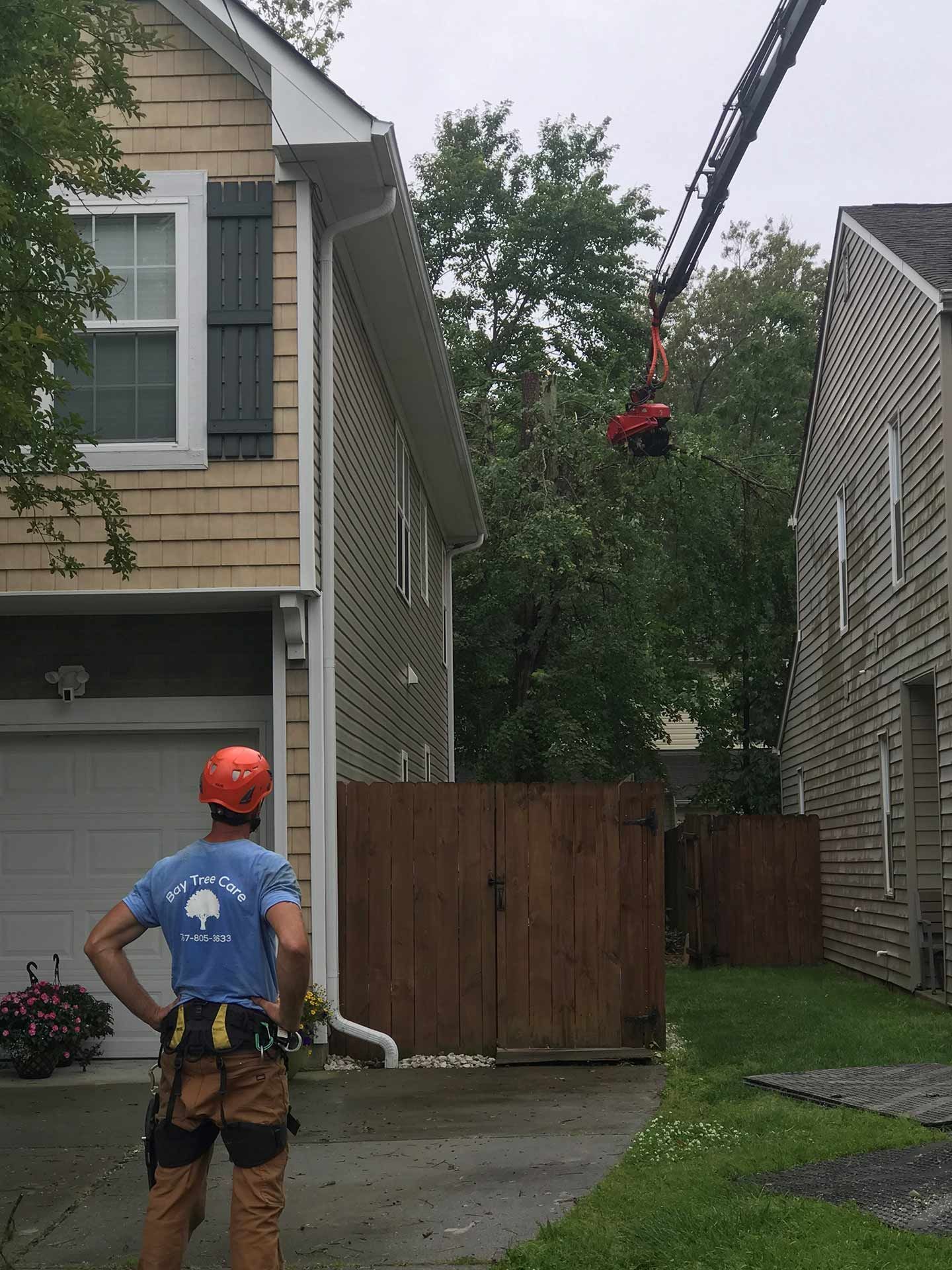 Tree Trimming in Garden — Virginia Beach, VA — Bay Tree Care