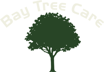 Bay Tree Care