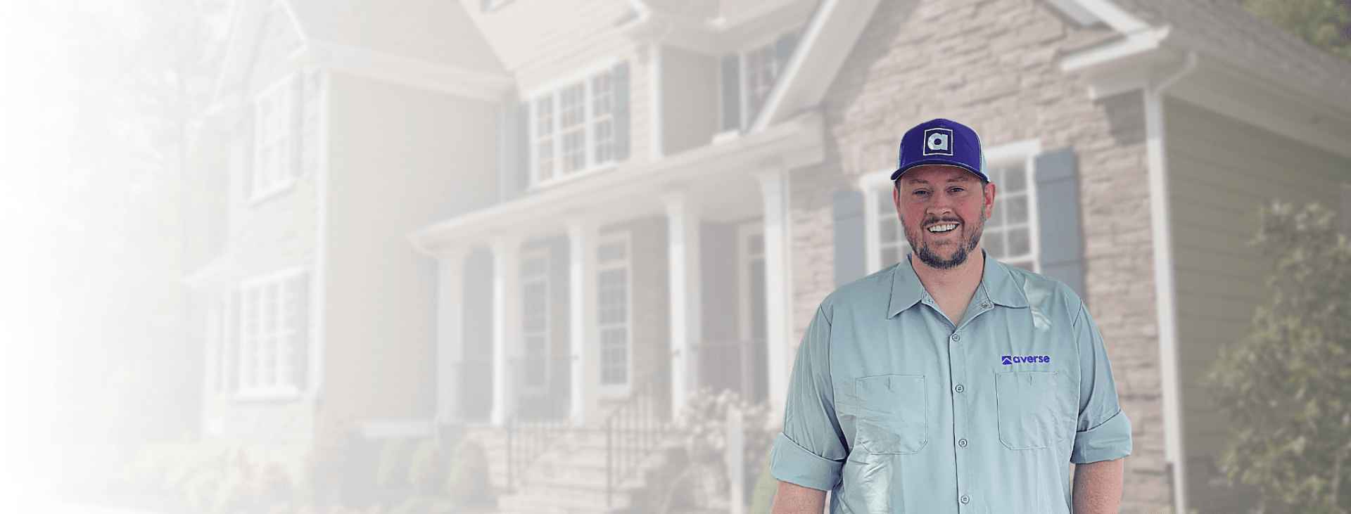 Dealing With Springtails In Idaho