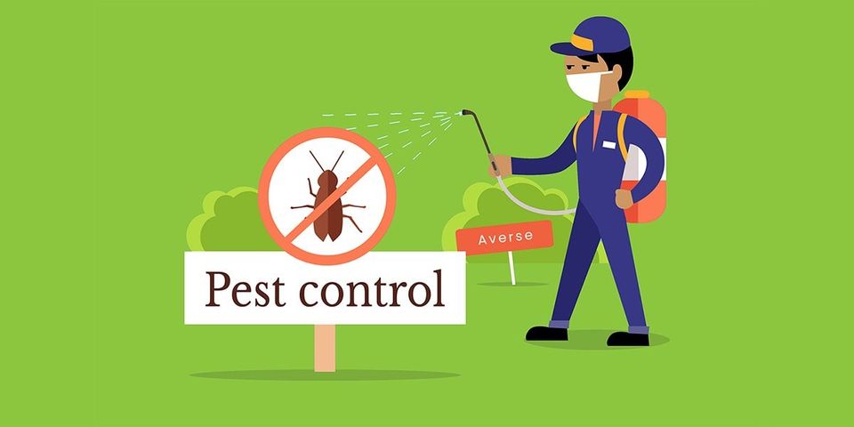 What is Pest Control? The Supreme Guide