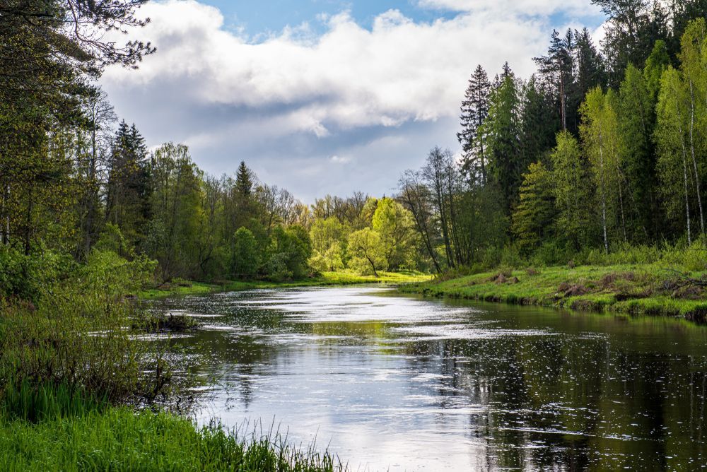 Two people in business attire seated on a couch, hands clasped, engaged in a discussion.