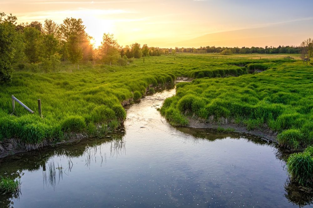 A person sits on a couch, talking to a person in a chair. Interior setting.