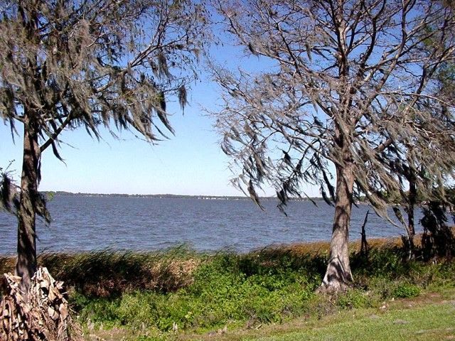 A lake with trees in the foreground and spanish moss on the branches