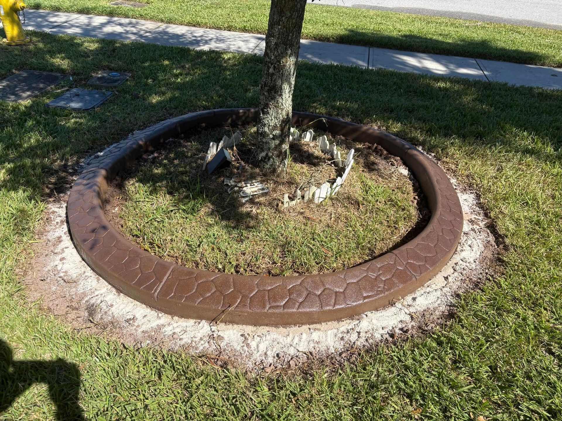 A tree is surrounded by a concrete ring in the grass.