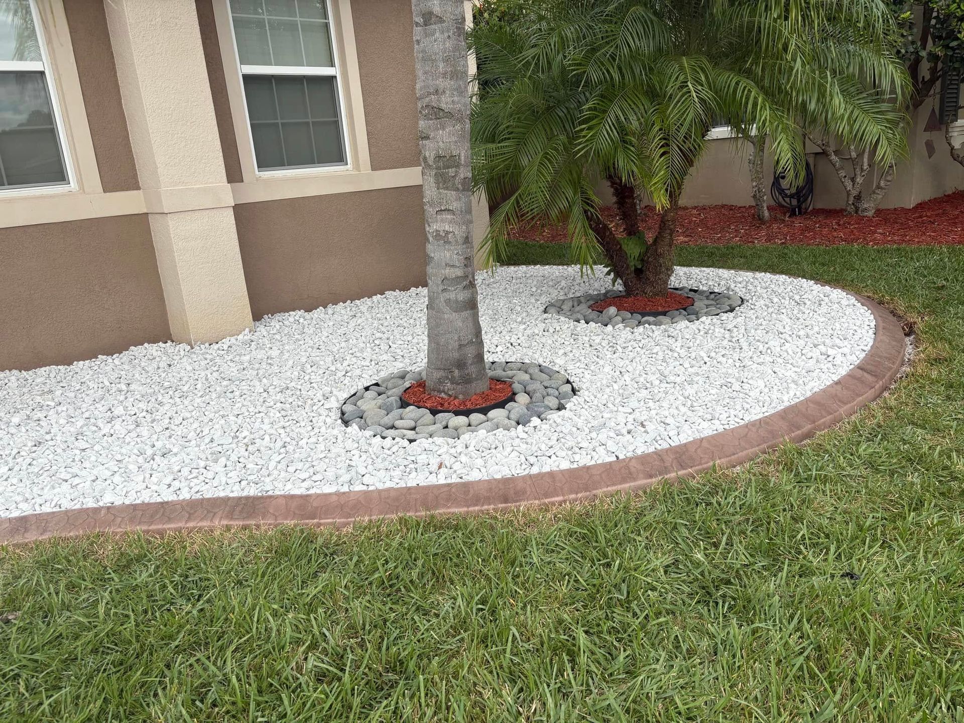 A tree is surrounded by white gravel in front of a house.