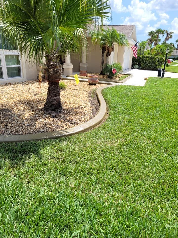 A lush green lawn with a palm tree in front of a house.