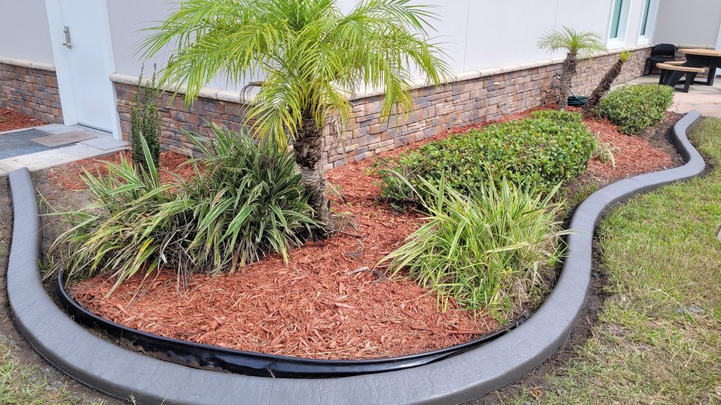A garden with a curved concrete curb and a palm tree in the middle.
