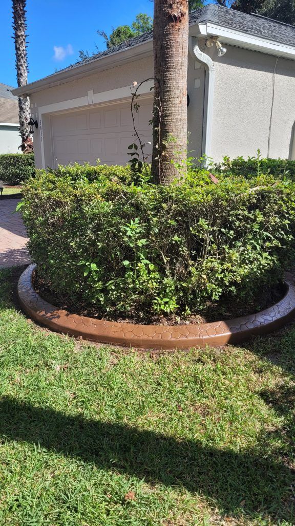 There is a tree in the middle of the yard with a concrete curb around it.